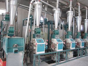Fabricante de plantas para el proceso de molienda de harina 